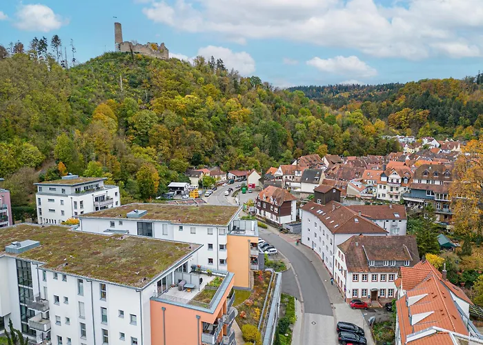 Traumhaft Gelegene Altbau-Wohnung Im Herzen Von Weinheim - Parking