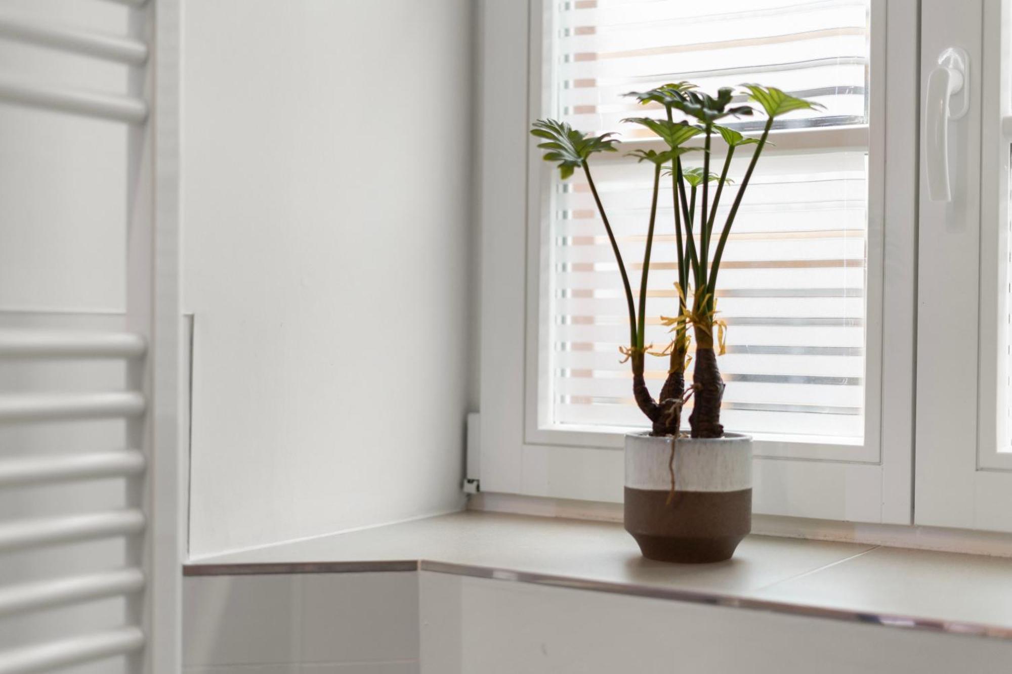 Apartment Traumhaft Gelegene Altbau-wohnung Im Herzen Von - Parking *